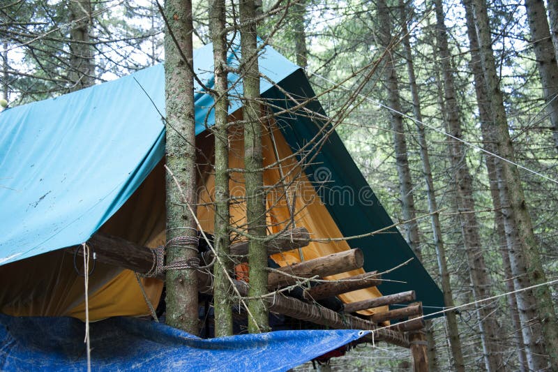 Boy Scout Campground stock image. Image of forest, washington 2936037