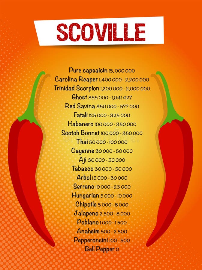 Scoville scale chilli peppers infographic Vector Image