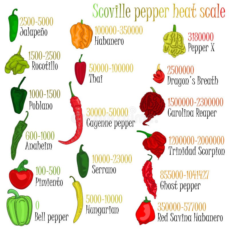 Tabelle scoville Blair's Jersey