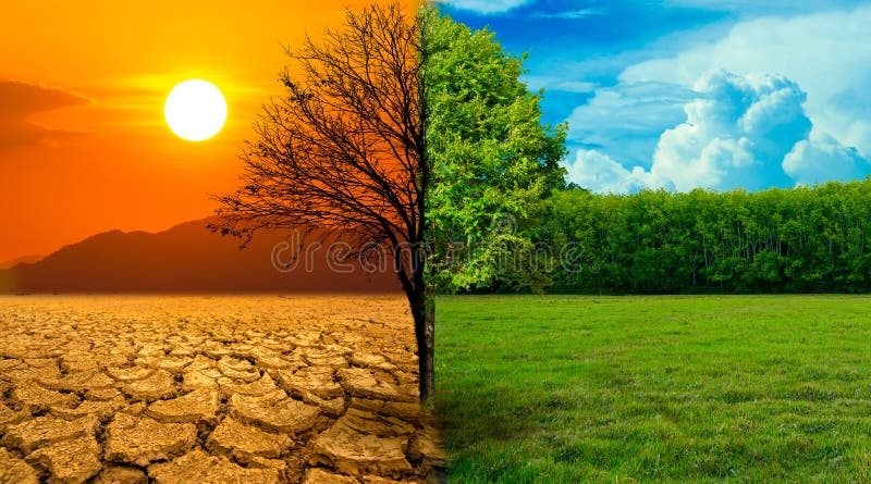 The screen separates the drought and the complete forest where the wildlife is living. Global warming concept royalty free stock images The screen separates the drought and the complete forest where the wildlife is living. Global warming concept royalty free stock images