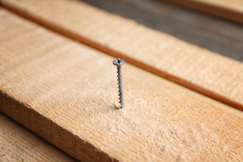 Amazon.com: Shutter Screws