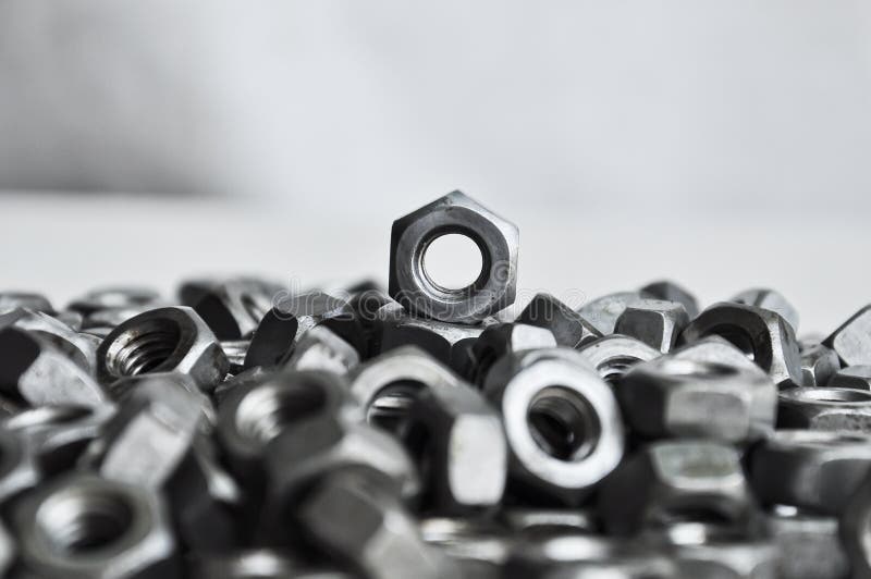 Nut royalty free stock images