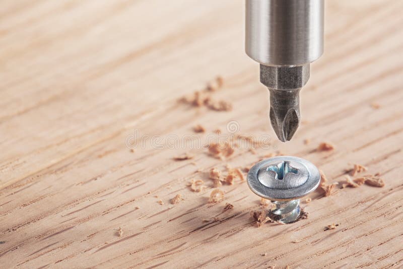 Screwdriver screw in a wood oaks plank