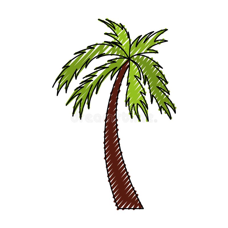 Palm cartoon stock vector. Illustration of summertime - 21477164