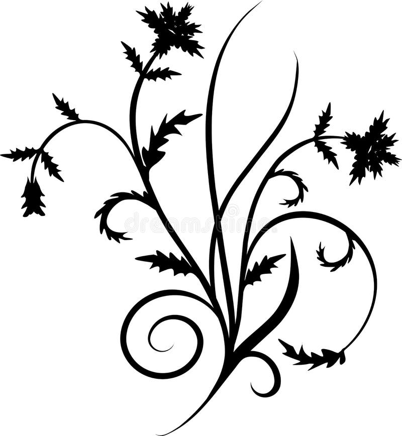 Scroll, cartouche, decor, vector
