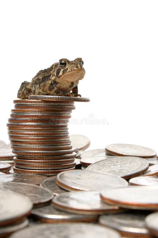 Little toad sitting atop a pile of quarters isolated against a white backdrop. Vertical crop. Little toad sitting atop a pile of quarters isolated against a white backdrop. Vertical crop.