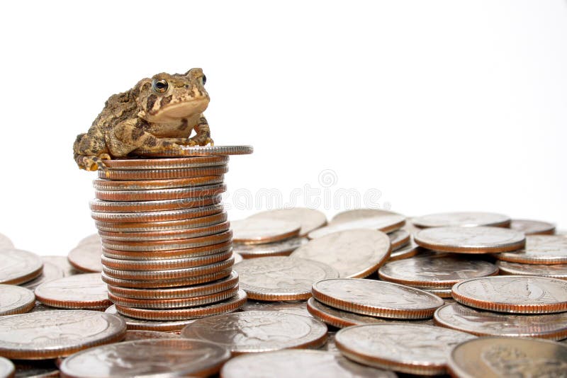 Little toad sitting atop a pile of quarters isolated against a white backdrop. Little toad sitting atop a pile of quarters isolated against a white backdrop.