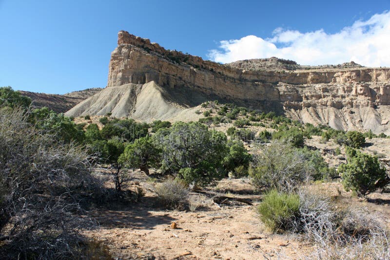 Scrub Land, Book Cliffs, Utah Stock Photo Image of expedition, study