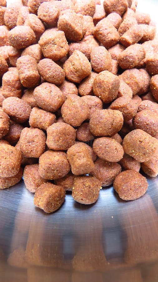 Scrumptious Dog Food royalty free stock image Scrumptious Dog Food royalty free stock image