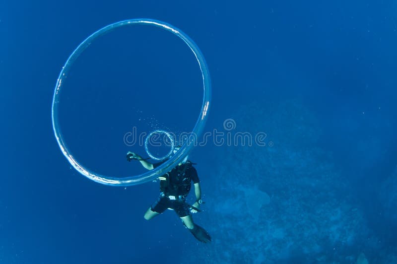 Scuba Diver Blows Bubble Rings Stock Photo Image of mask, coral 24557078