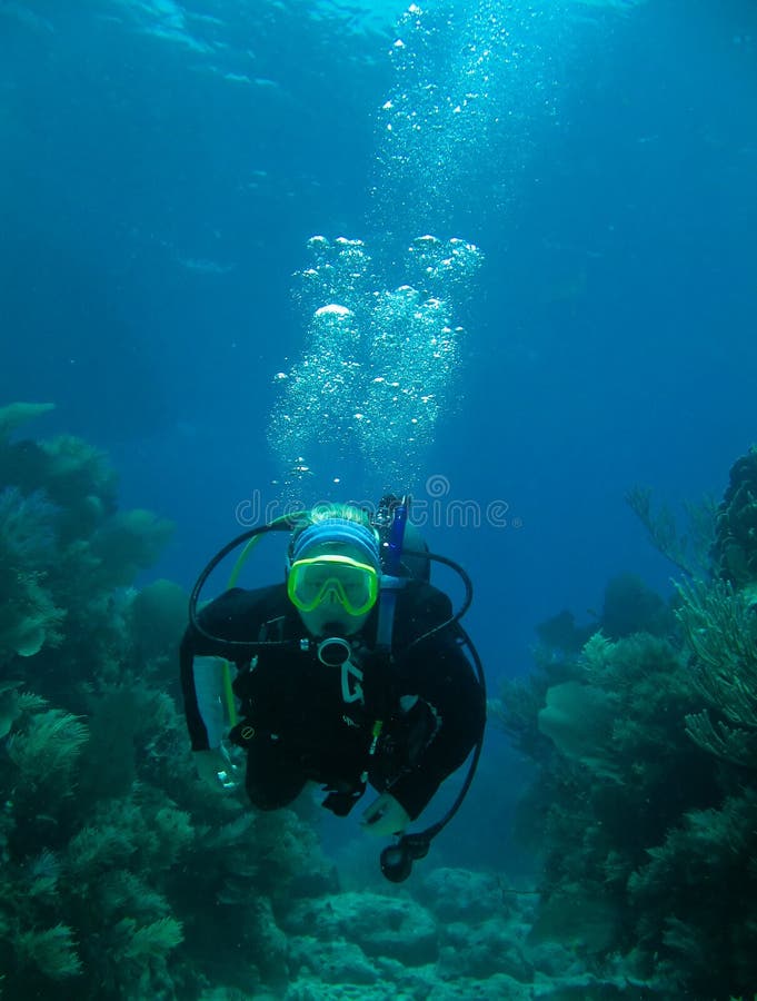 Scuba diver and coral reef