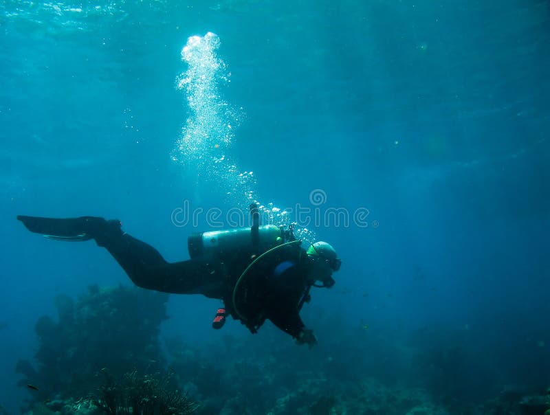 Scuba diver and coral reef