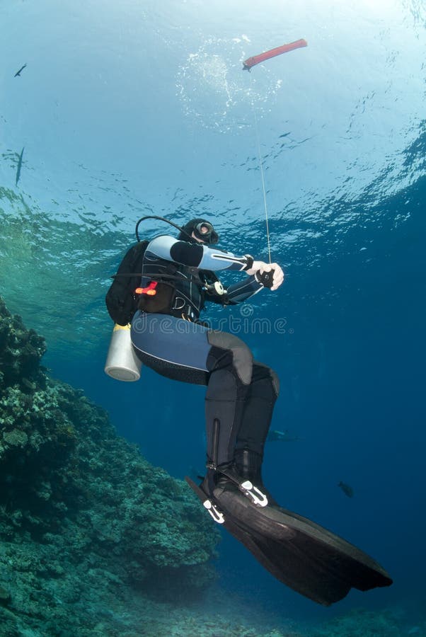 Scuba diver holding a surface marker buoy.