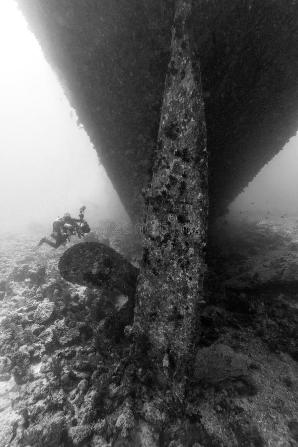 Scuba diver and ship wreck