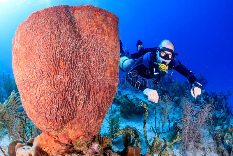 SCUBA Diver in sidemount on a reef