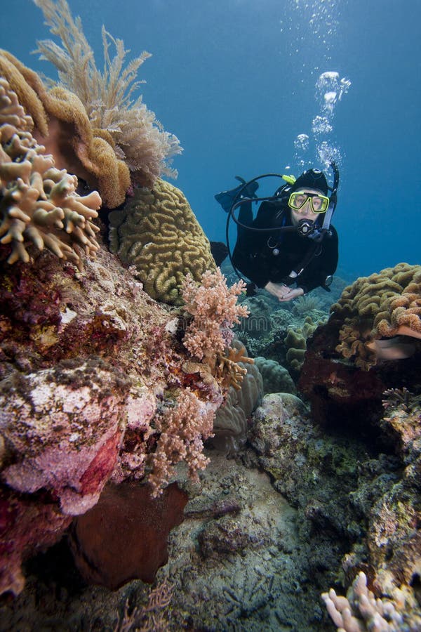 Scuba diver swimming over a tropical coral reef