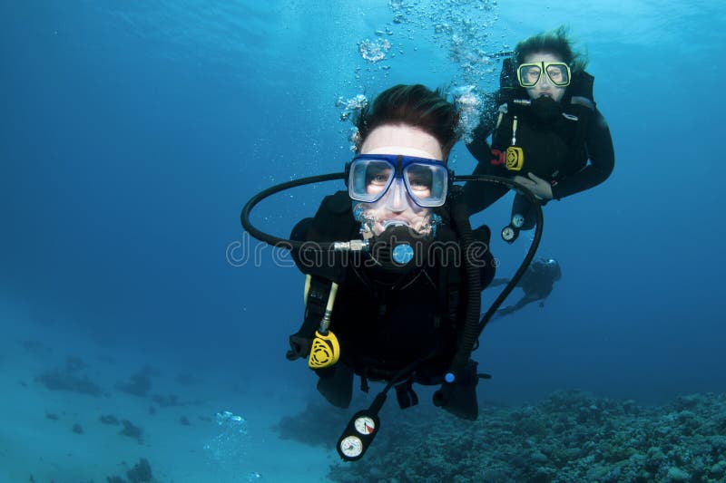 Scuba divers and coral