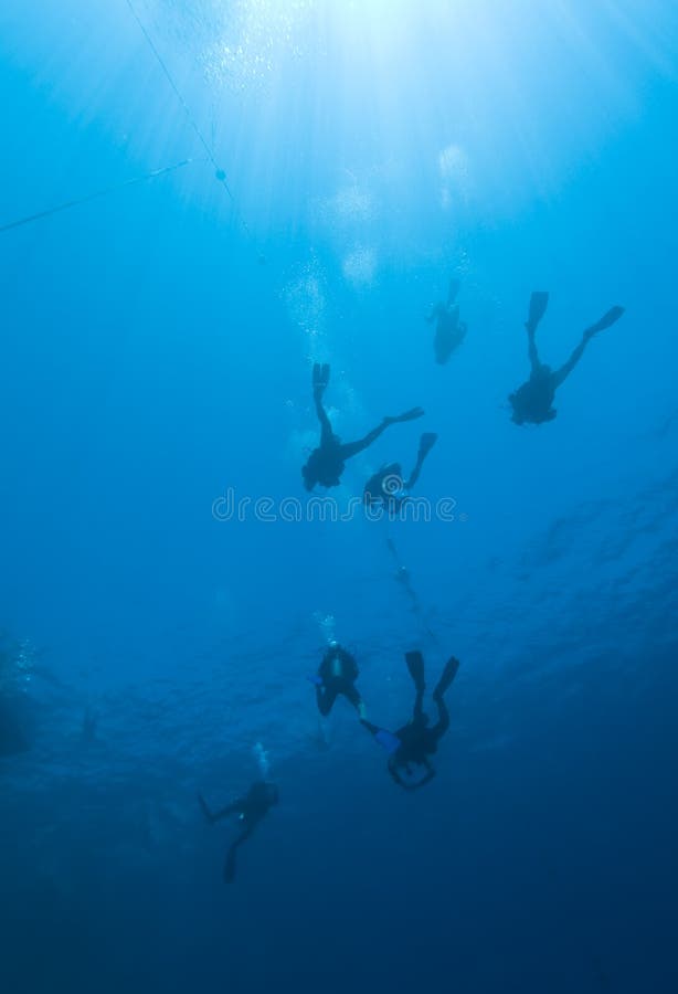 Scuba divers descending into the blue.