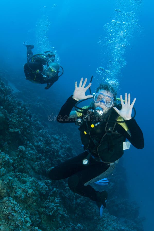 Scuba Divers Having Fun on a Dive Stock Photo Image of activity