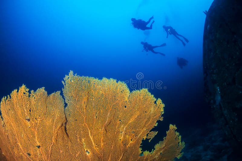 SCUBA divers next to a large underwater shipwreck and seafan