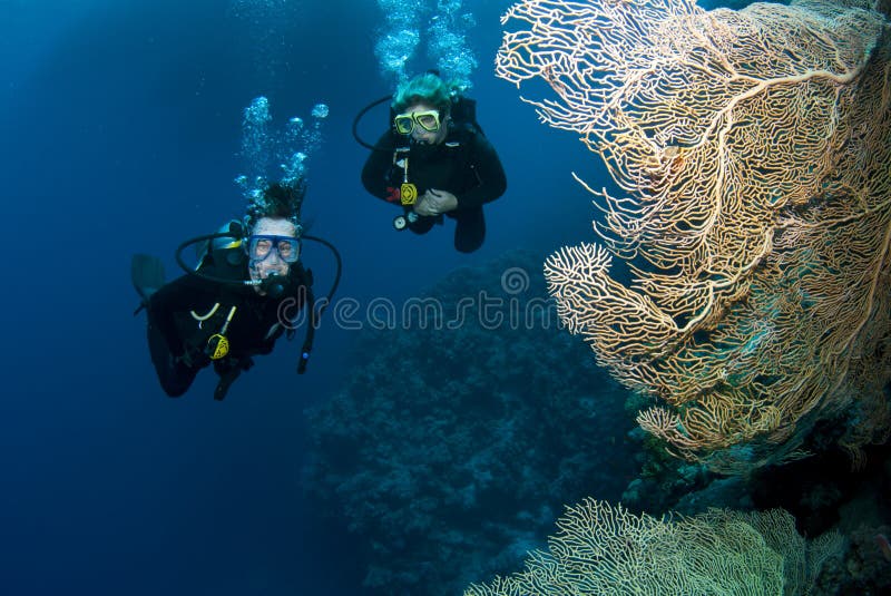 Scuba divers in red sea