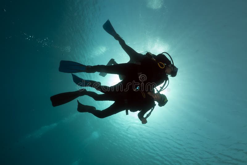 Scuba divers in the Red Sea.