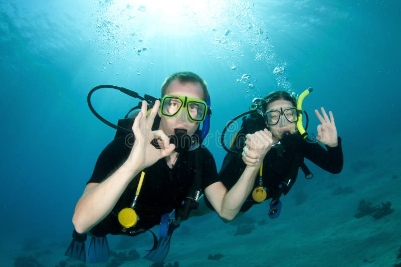 Scuba divers swim together