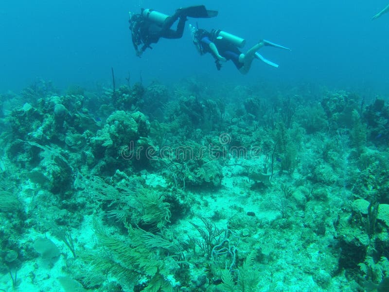 Scuba Diving in Cancun Mexico Stock Image Image of 100gopro, person