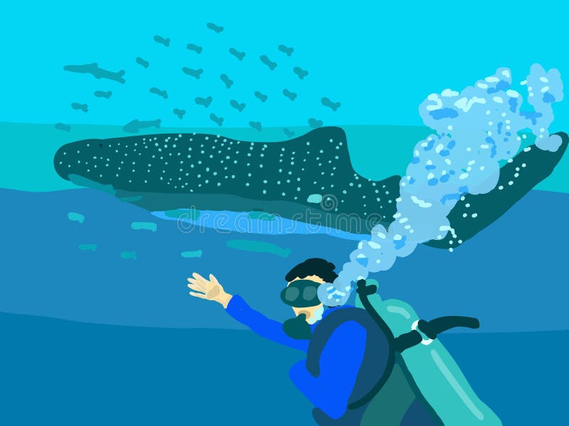 Scuba Diving with Whale Shark Line Art Drawing Stock Photo Image of