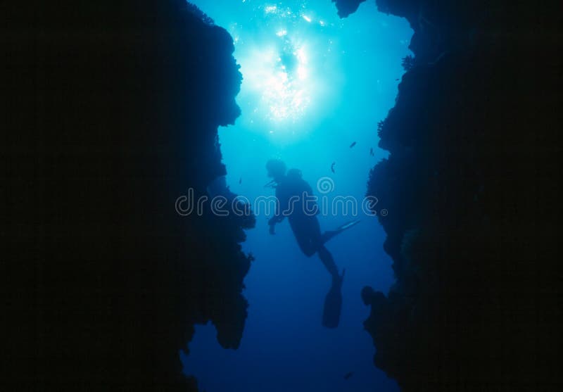 Scuba-duiker stock afbeelding Scuba-duiker stock afbeelding