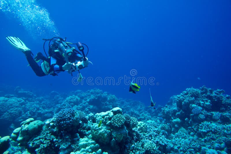 De scuba-duiker neemt Onderwaterfoto stock foto's De scuba-duiker neemt Onderwaterfoto stock foto's
