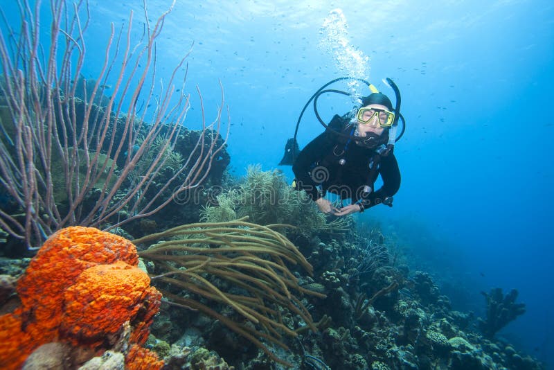 Scuba-duiker die over koraalrif zwemt royalty-vrije stock afbeelding Scuba-duiker die over koraalrif zwemt royalty-vrije stock afbeelding