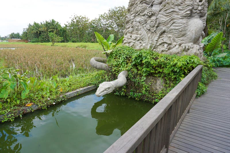 Balinese Man And The Snake Show Editorial Image Image Of Balinese Man And The Snake Show Editorial Image Image Of
