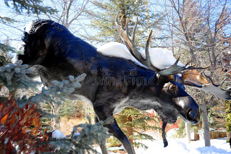 Sculptured Moose Coming out of the forest and snow.