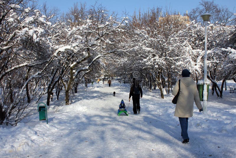 Scène d'hiver - les gens en parc photo libre de droits