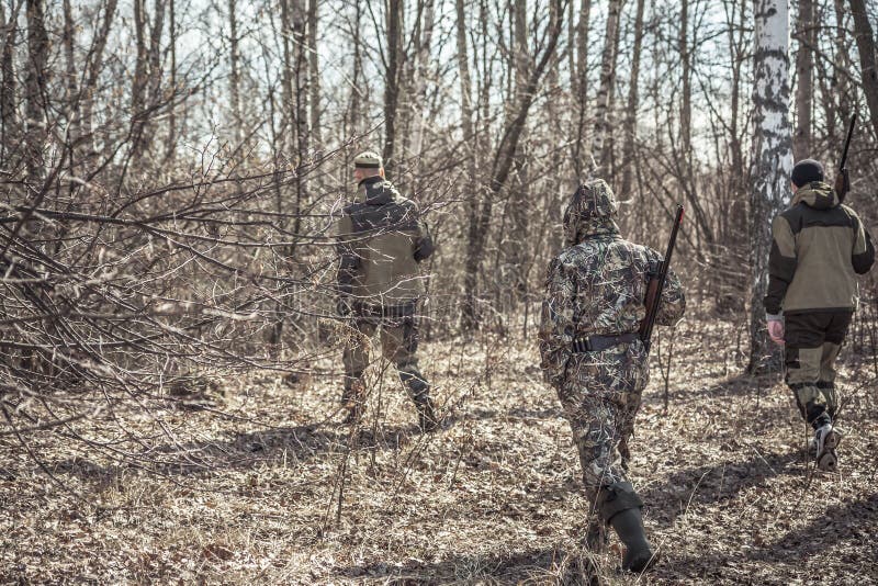 Scène de chasse avec le groupe de chasseurs dans le camouflage marchant au printemps forêt avec les feuilles sèches pendant la sa photo stock Scène de chasse avec le groupe de chasseurs dans le camouflage marchant au printemps forêt avec les feuilles sèches pendant la sa photo stock