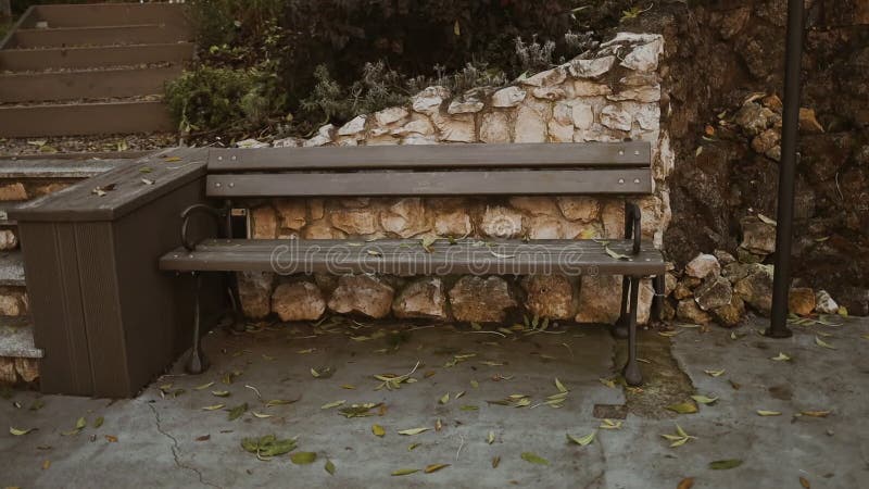 Scène de parc paisible avec un banc de parc vide comme les arbres et part à travers les champs aux beaux jours clips vidéos