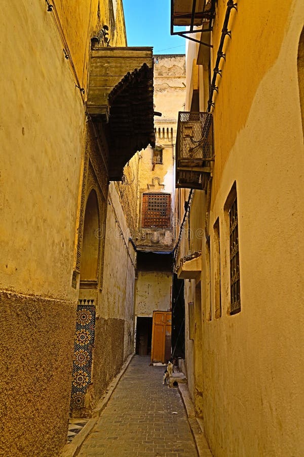 rue fez rue fez