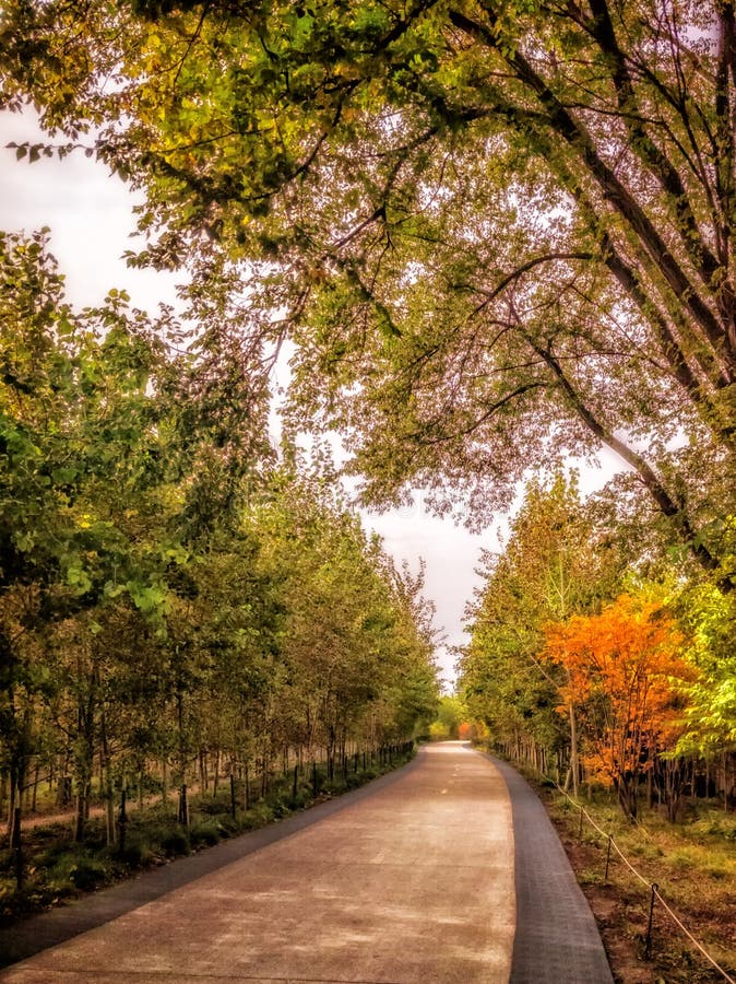Scène tôt d'automne de la traînée de Bloomingdale de Chicago 606 sans des personnes L'Illinois, Etats-Unis photographie stock Scène tôt d'automne de la traînée de Bloomingdale de Chicago 606 sans des personnes L'Illinois, Etats-Unis photographie stock