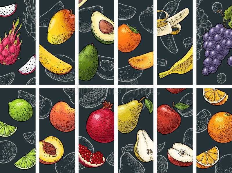 Se setează fructele întregi pe jumătate și felie. gravare vintage vector royalty free illustration