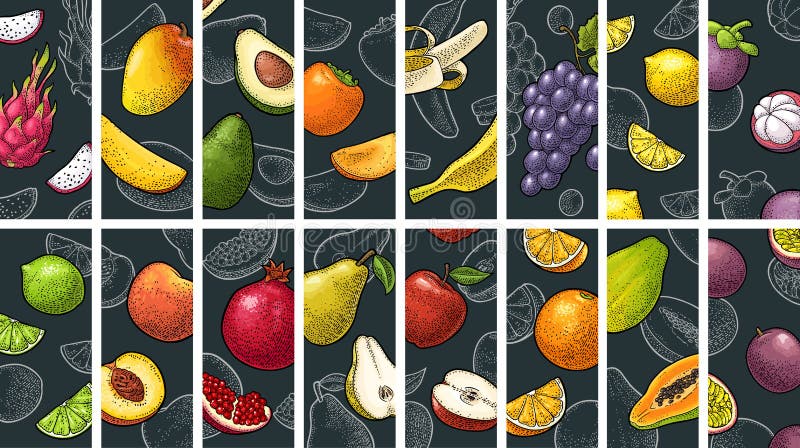 Se setează fructele întregi pe jumătate și felie. gravare vintage vector vector illustration