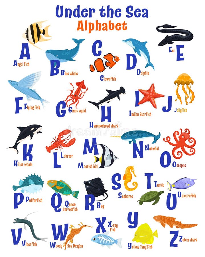 Sea Animals Alphabet Poster. ABC for Children. Stock Vector - Illustration of education, jellyfish: 218932982 Sea Animals Alphabet Poster. ABC for Children. Stock Vector - Illustration of education, jellyfish: 218932982
