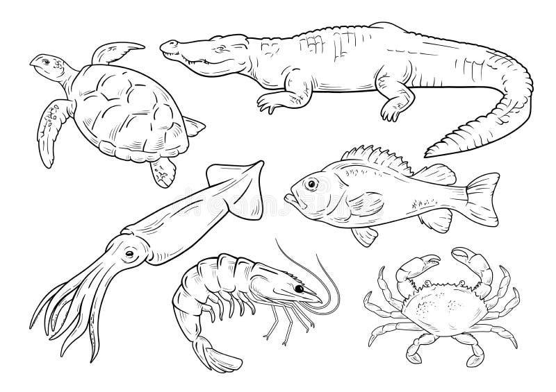 Sea animals line set stock vector. Illustration of outline - 120824645