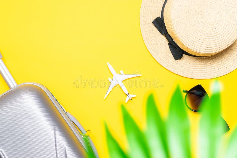 Plane and palm on beach stock photo. Image of beach, flying - 16387816