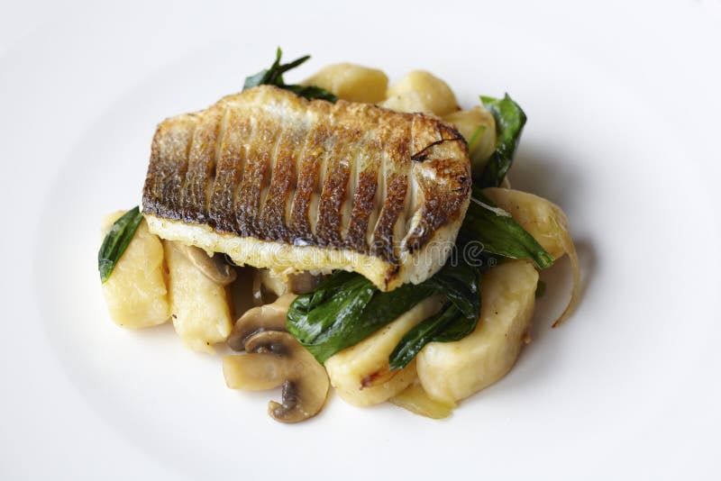 Sea Bass Filet on Potato Gnocchi with Spinach Stock Photo Image of