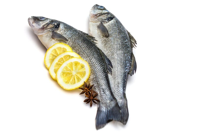 Sea bass fish stock photo. Image of horizontal, freshness 51847762