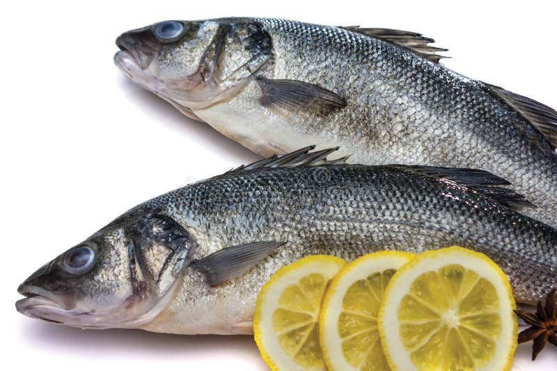 Sea bass fish stock photo. Image of horizontal, freshness 51847762