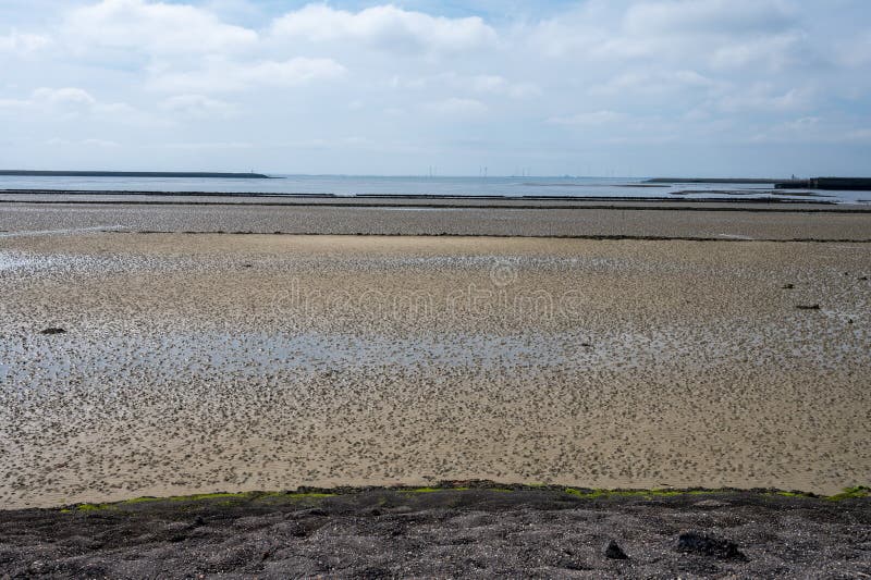 Sea Bottom at Low Tide on Grevelingenmeer, Zeeland, Netherlands Stock