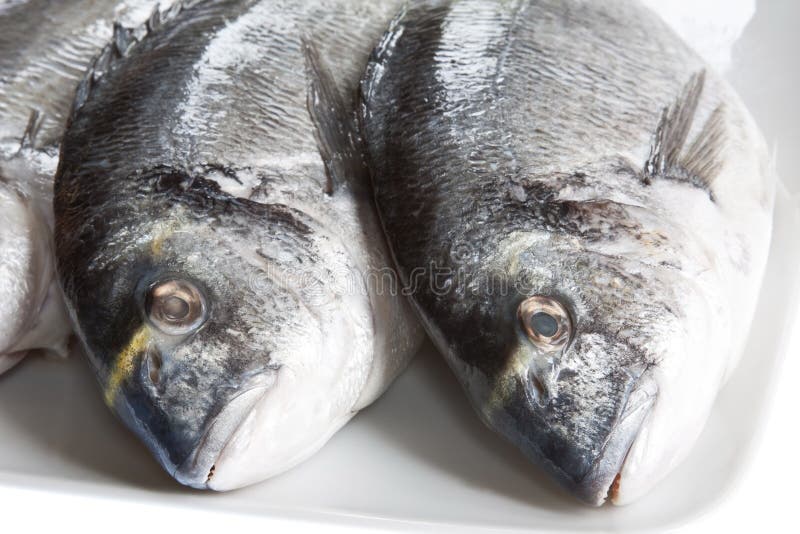 Sea Bream stock image. Image of fins, healthy, fish, nutrition - 20122197