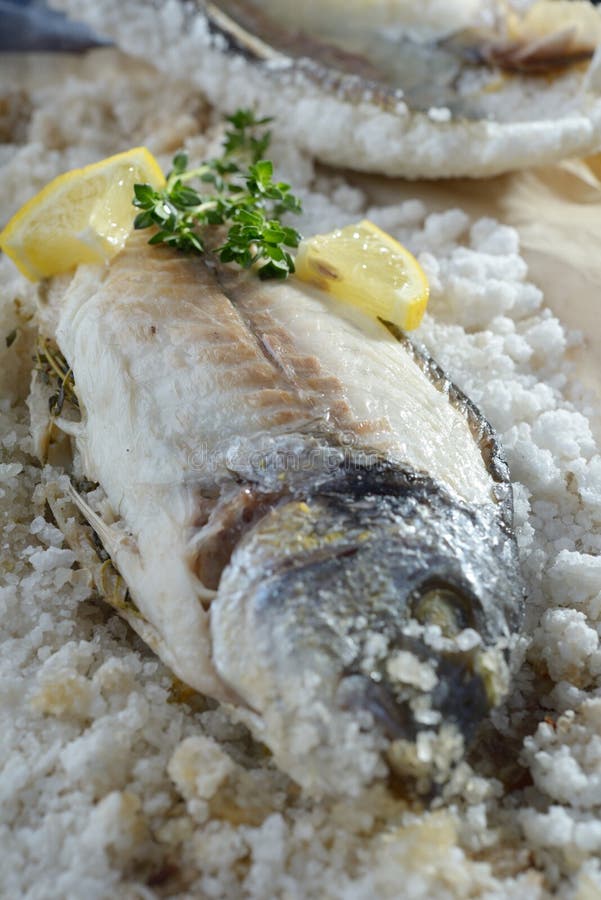 Sea bream baked in salt stock image. Image of cooked 41209251